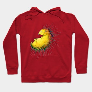 Porcupine colorful Hoodie